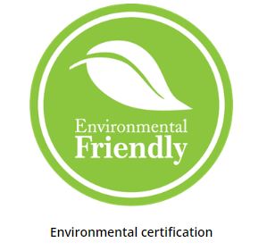 Company Logo Creation